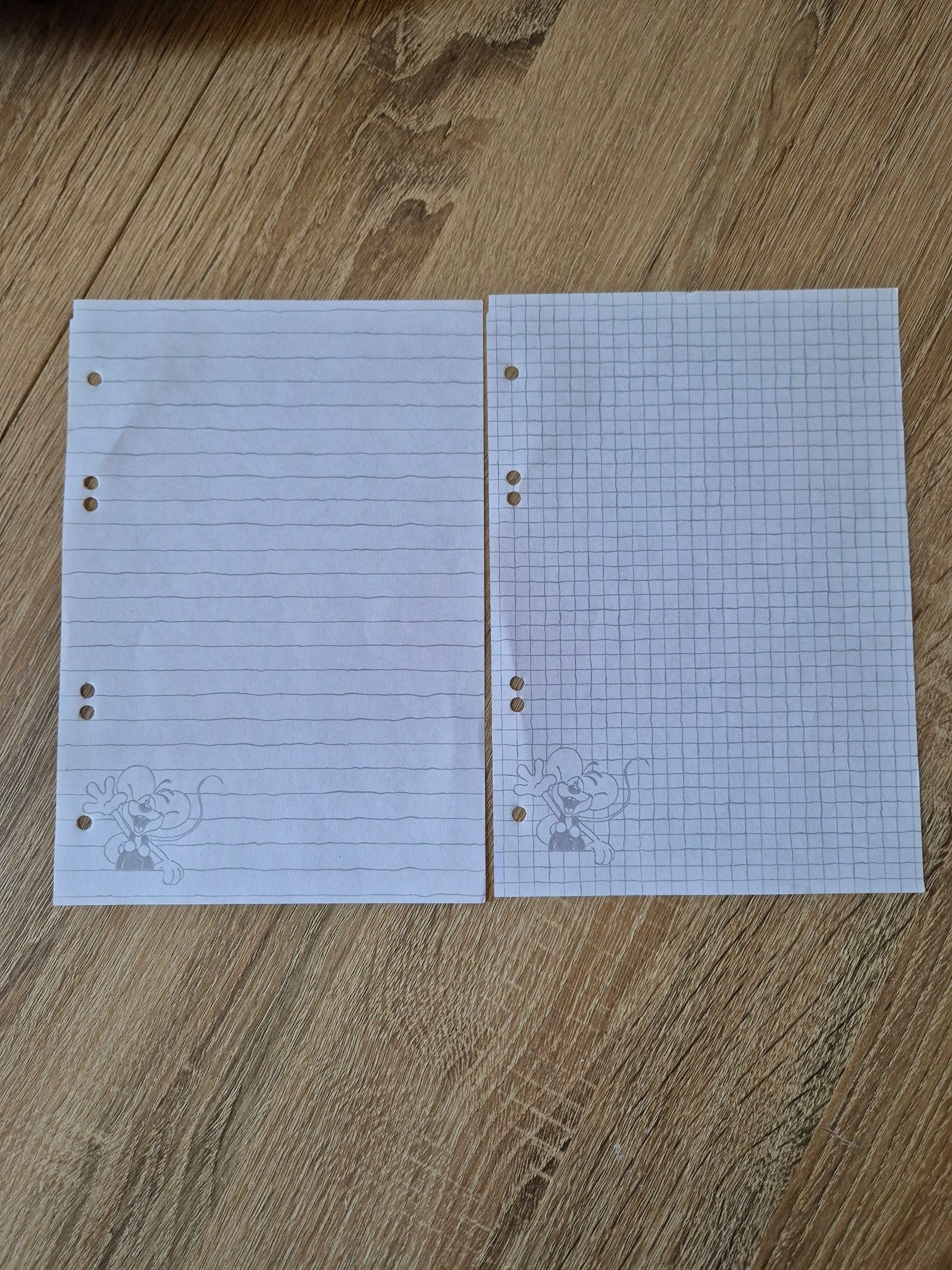 Deux feuilles a5 Diddl 